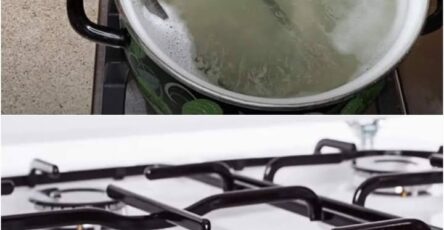 Pillola magica per far brillare il tuo barbecue a gas