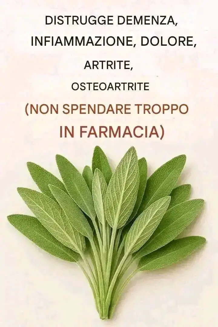 Tutto quello che puoi fare con una singola pianta di salvia