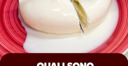 Le migliori marche di mozzarelle da acquistare secondo i test di Altroconsumo