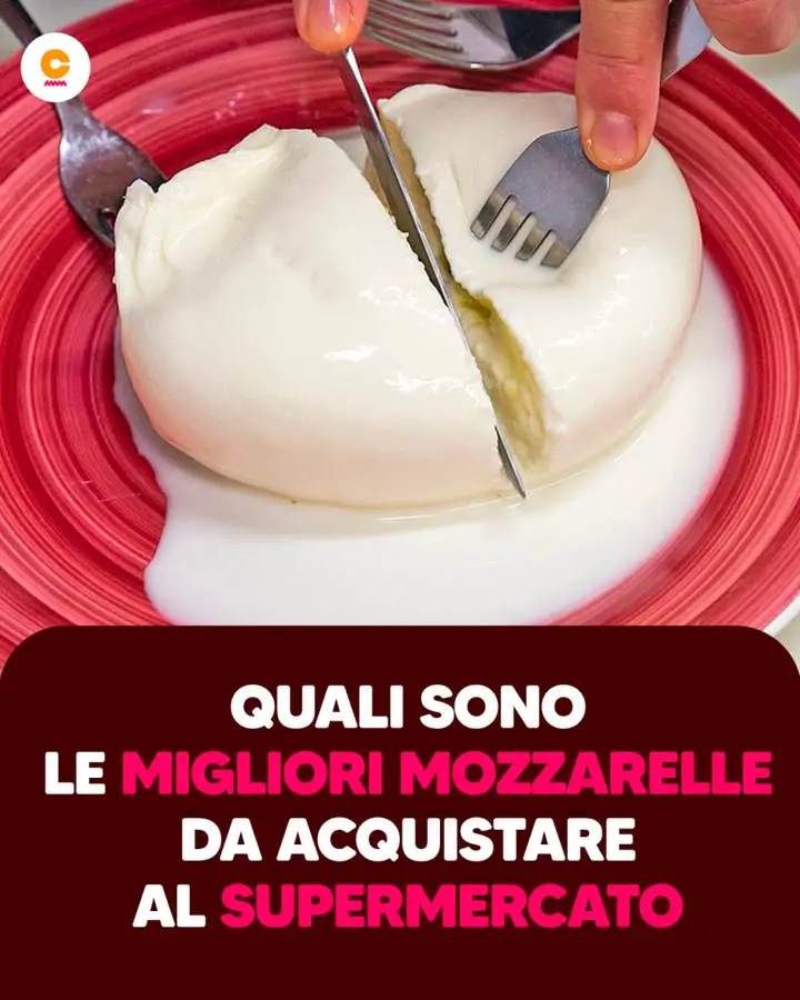 Le migliori marche di mozzarelle da acquistare secondo i test di Altroconsumo