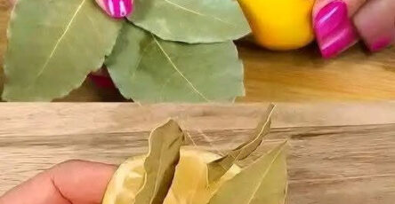 Limone e alloro un abbinamento interessante