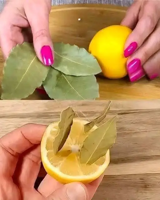 Limone e alloro un abbinamento interessante