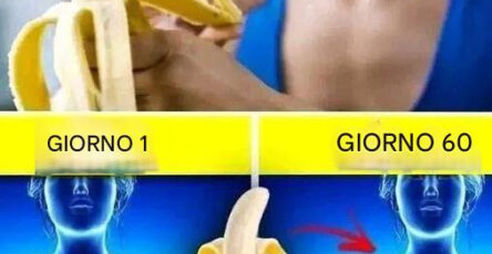 Banana Todos Los Días