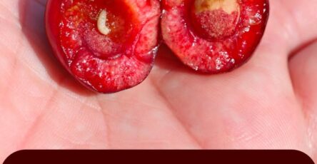 Vermi nella frutta: cosa sono e cosa fare in caso di ingestione accidentale