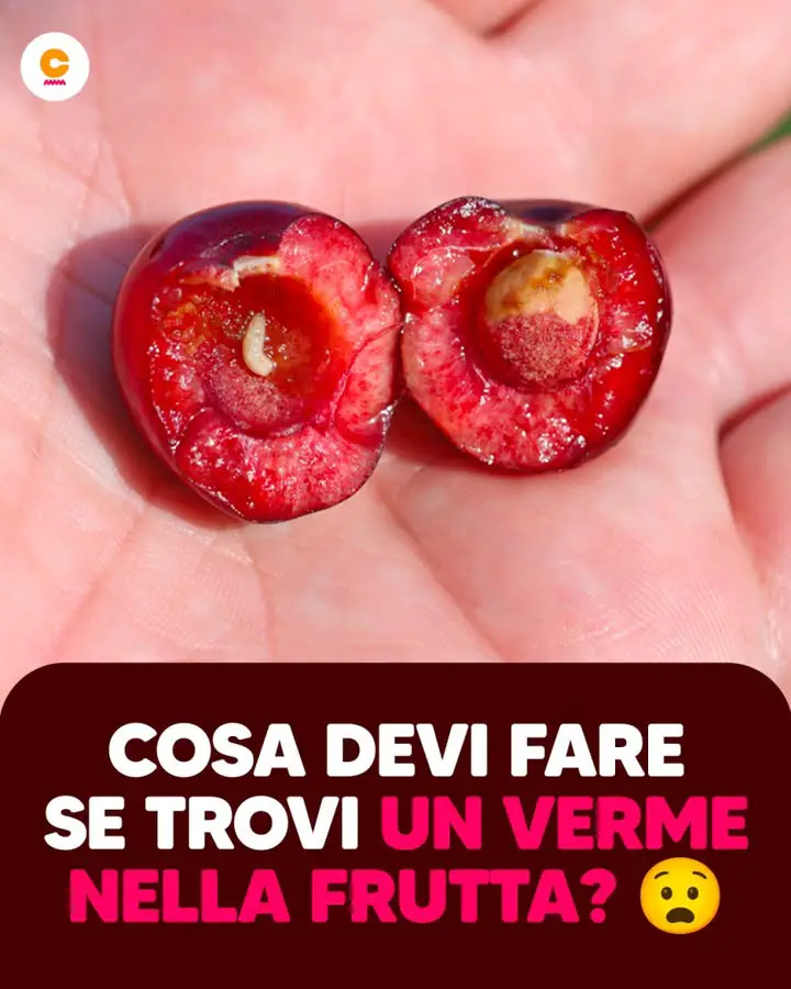 Vermi nella frutta: cosa sono e cosa fare in caso di ingestione accidentale
