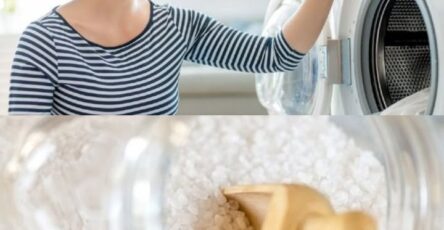 Basta Una Tazza Per Ottenere Un Bucato Impeccabile Meglio Del Bucato