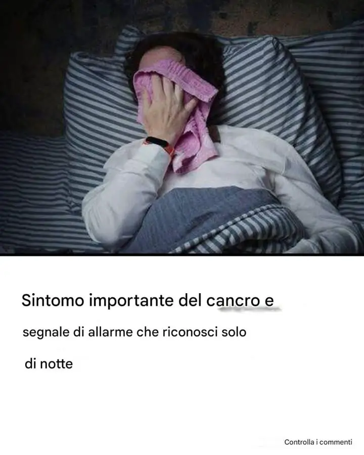 Lucciola Notturna
