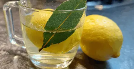 Tisana sgonfia pancia con alloro e limone