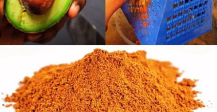 Benefici dei noccioli di avocado: 7 motivi per usarli