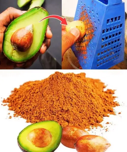 Benefici dei noccioli di avocado: 7 motivi per usarli